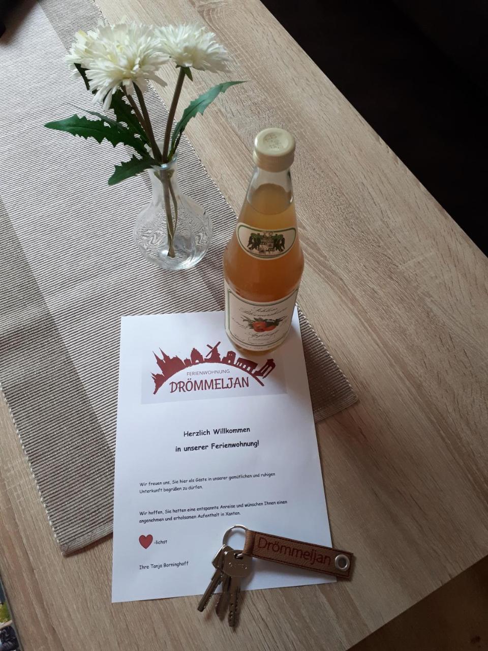 Ferienwohnung Droemmeljan Xanten Eksteriør billede